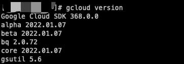 gcloud_version.jpg